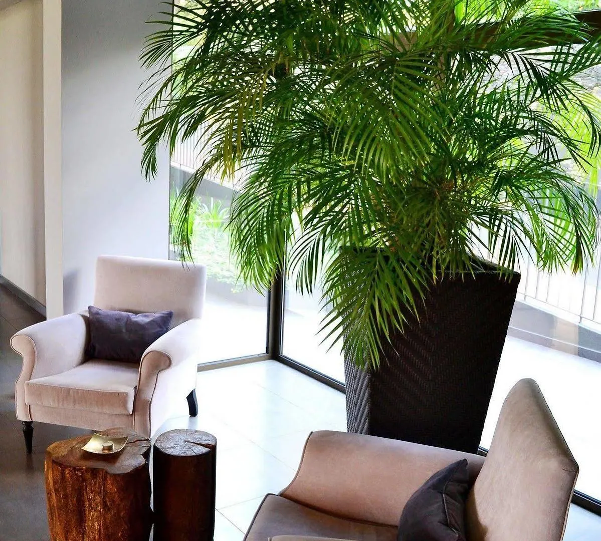 Hotel Enotel Magnolia (Adults Only) Funchal